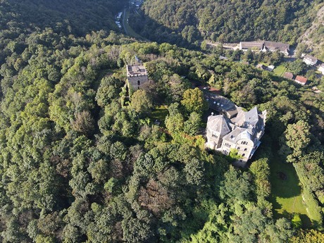 Burg Rheineck